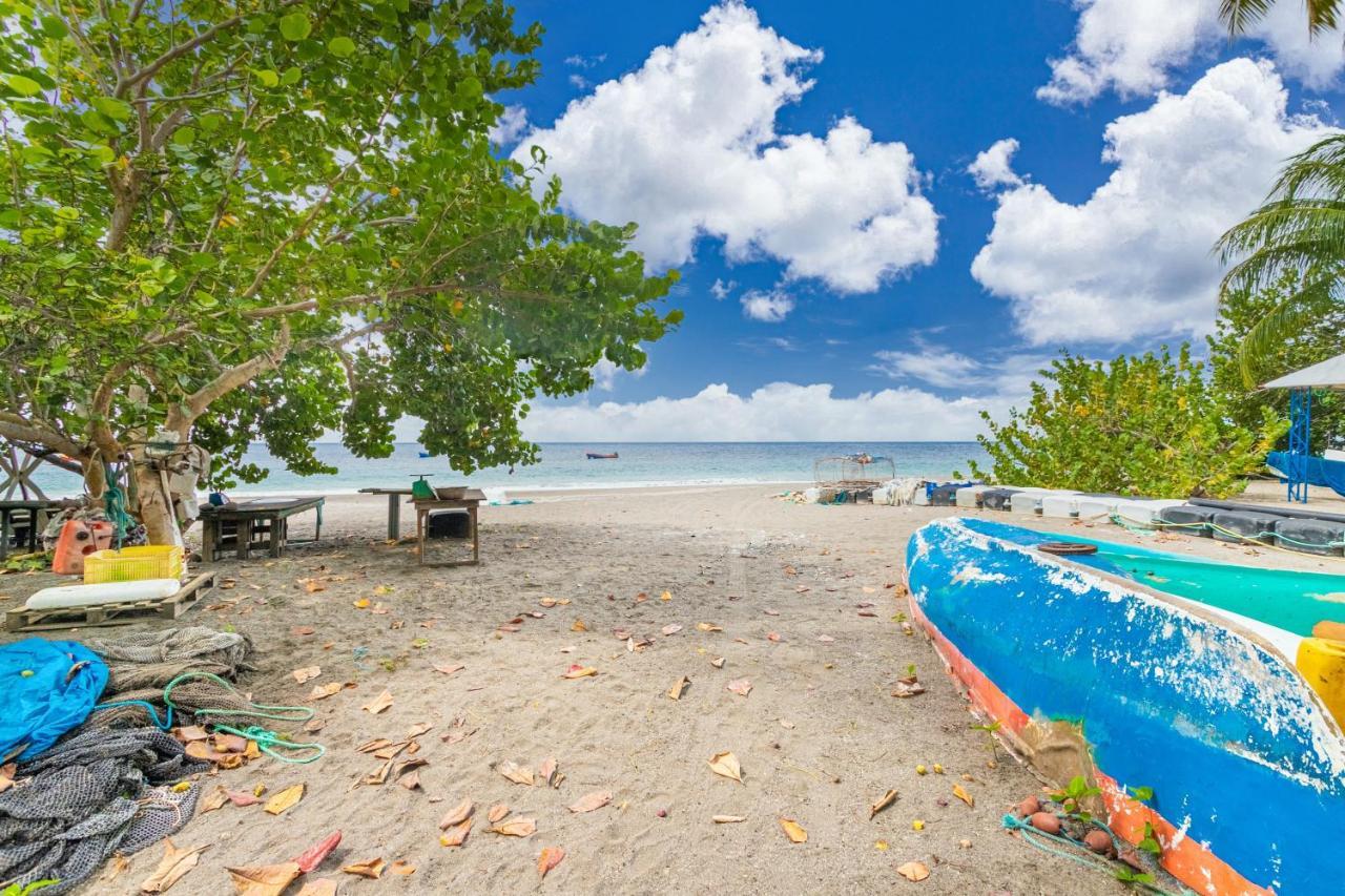 Appartement Charmant Au Carbet Avec Vue Sur La Mer 50 M² Le Carbet Exteriér fotografie